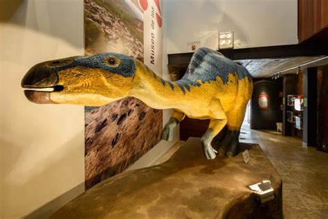Museo de dinosaurios en Aren: aprendizaje y diversión