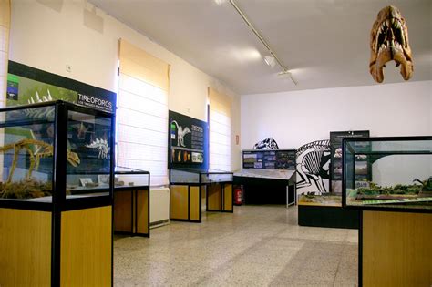 Museo de Dinosaurios Museo de Dinosaurios | dinosaurios,paleontologia ...