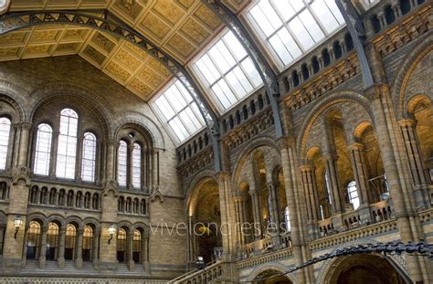 Museo de Historia Natural de Londres | Horario, precio y ...