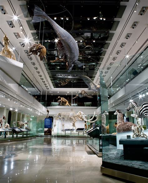 Museo de Historia Natural  NHM  | Que Hacer en Los Angeles