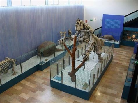 Museo de Historia Natural, Valencia
