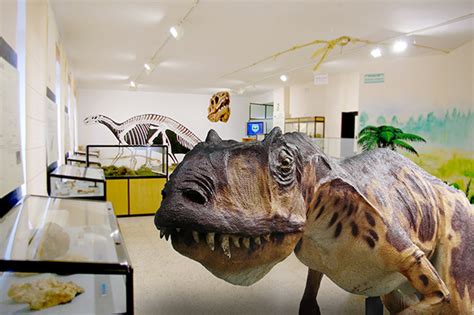 Museo de los dinosaurios de Salas de los Infantes   La ...