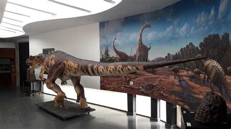 Museo de los Dinosaurios  Salas de los Infantes    Qué saber antes de ...