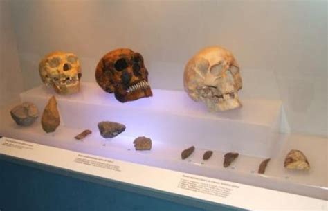 Museo de Prehistoria y Arqueología de Cantabria en Santander: 2 ...