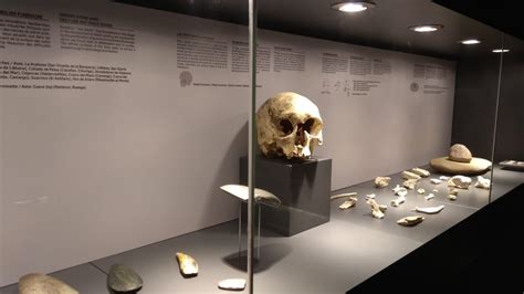 Museo de Prehistoria y Arqueología de Cantabria  MUPAC  w Santander ...