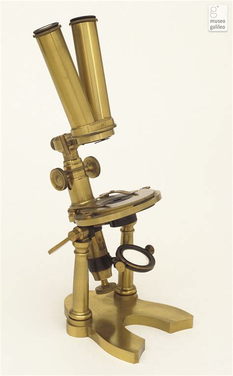 Museo Galileo   Enlarged image   Compound microscope ...
