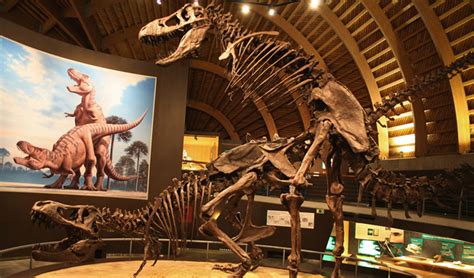 Museo Jurásico  Asturias . Dónde ver dinosaurios en España ...
