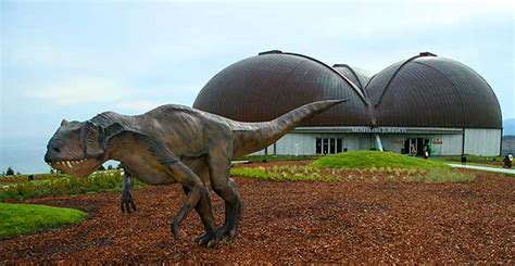 Museo Jurásico de Asturias en Colunga: más que dinosaurios ...