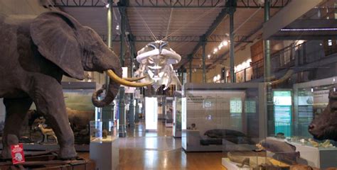 Museo Nacional de Ciencias Naturales | Turismo Madrid