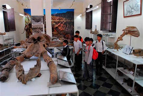 Museo Nacional Paleontológico Arqueológico   La Región