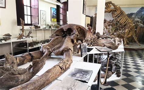 Museo Nacional Paleontológico | Atractivo turístico de ...