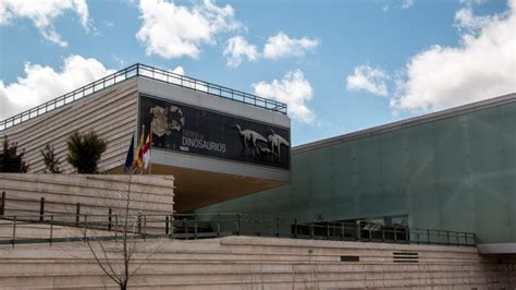 Museo Paleontología Castilla La Mancha | Cuenca es Turismo
