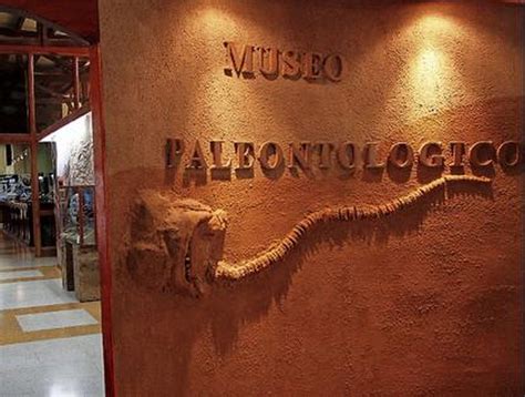 Museo Paleontológico de Caldera recibió el Premio ...