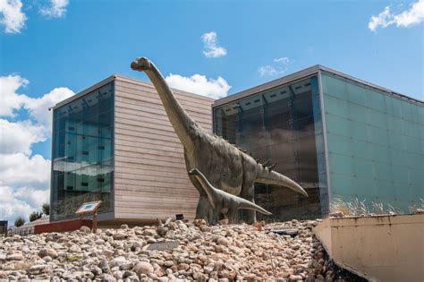 Museo Paleontológico de Castilla La Mancha – MUPA