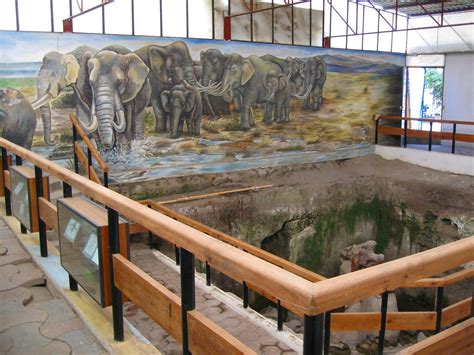 Museo Paleontológico de Tocuila