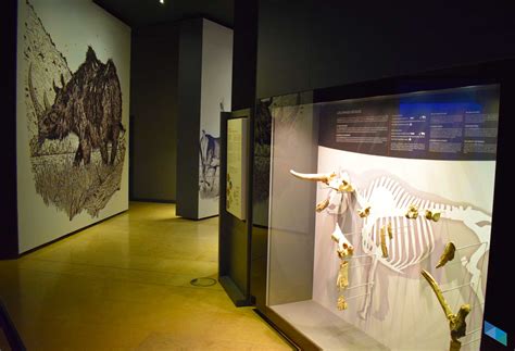 Museo Prehistoria y Arqueología  MUPAC    Itinerario Centro de Santander