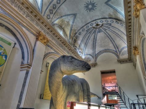 Museo Temps de Dinosaures   Morella