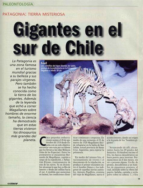muy interesante reportaje gigantes patagonia | Evelyn Pfeiffer