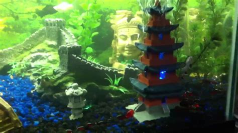 My 40 Gallon Asian Themed Aquarium   Great Wall of China ...