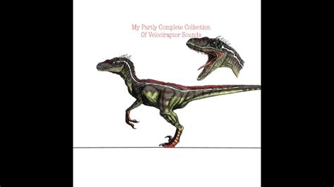 My Partly Complete Collection Of Velociraptor Sounds   YouTube