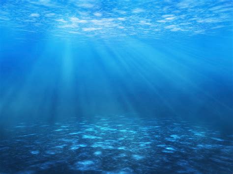 Mystery microbes of the sea | Science News for Students