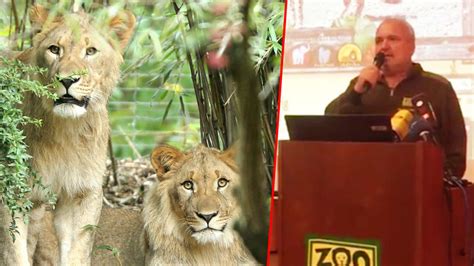 Nach Zoo Ausbruch | Löwe im Leipziger Zoo erschossen | Regional | BILD.de