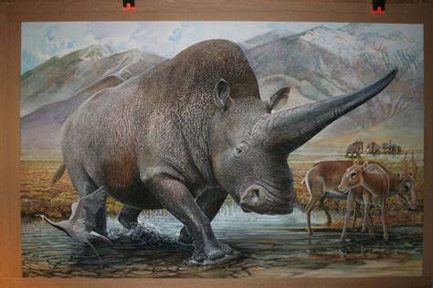 Name: Elasmotherium, Saiga, Demoiselle Crane, Woolly Mammoth Species ...
