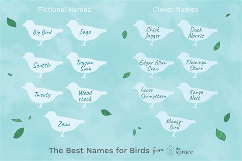 Names for Pet Birds