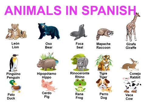 Names of animals in Spanish – SPANISH TO ENGLISH TRANSLATION