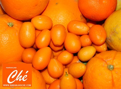 Naranjas Ché | Cocina con Danni