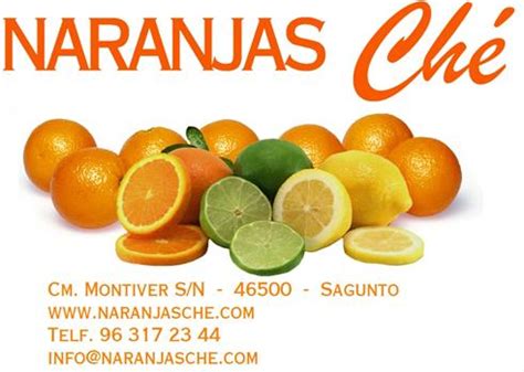 Naranjas Che COOP. V. | EcoAlternative.NET