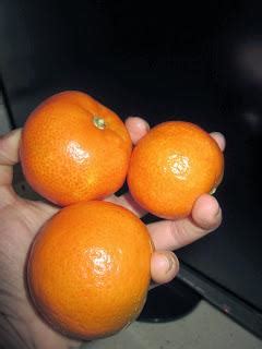 Naranjas ché   Paperblog