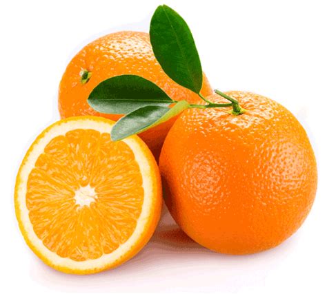 Naranjas Ecológicas de Temporada   Naranjas Ché
