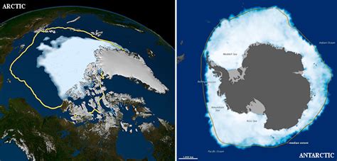 NASA   Opposite Behaviors? Arctic Sea Ice Shrinks ...