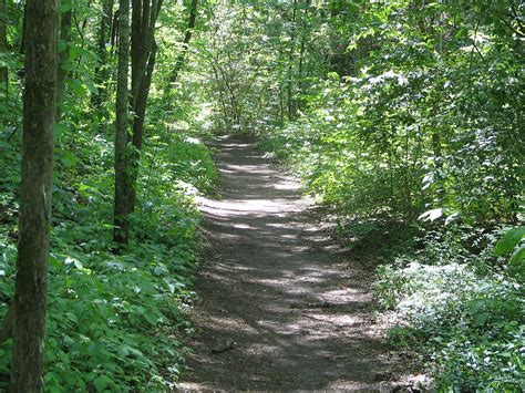 Natchez Trace Trail   Wikipedia