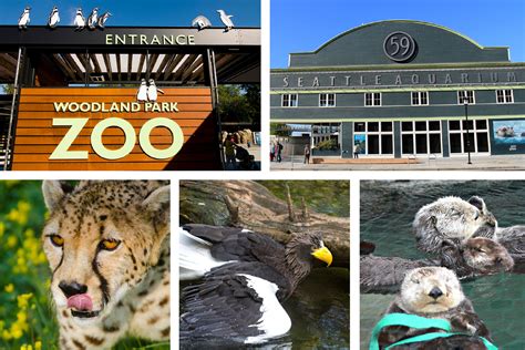National Zoo and Aquarium Month | Animal Surgical Clinic ...