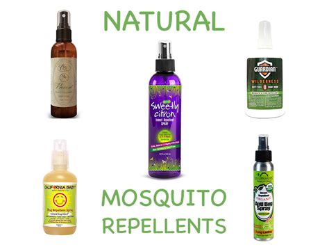 Natural Mosquito Repellents | Homemade Mosquito Repellent ...
