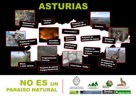 Naturaleza Cantábrica: Dia mundial del medio ambiente