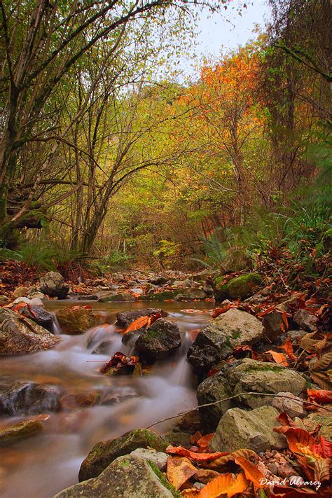 Naturaleza Cantábrica: Ríos de otoño