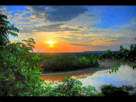 Nature s Tranquility   Amazon Rainforest Suite   YouTube