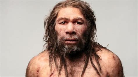 Neandertal: características, origen, evolución y extinción ...