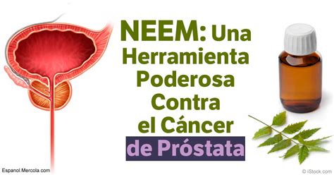 Neem: Prometedor en el Tratamiento Contra el Cáncer de Próstata