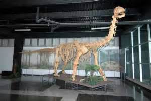 Neomundo inauguró muestra de 12 dinosaurios a escala real ...