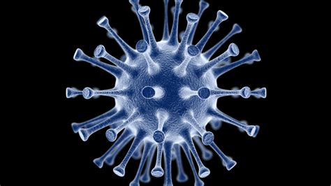 Neues Coronavirus: Rätsel um tödliches Virus   Beobachter