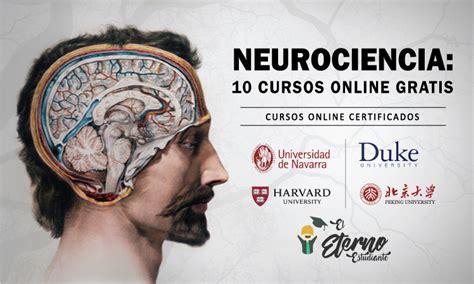 Neurociencia: 10 cursos online gratis
