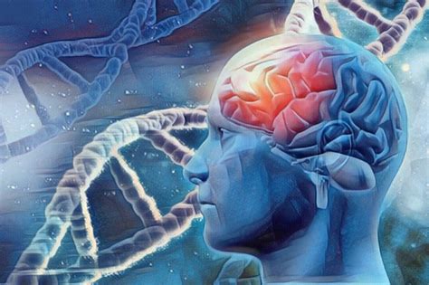 Neuropsicología ¿Qué es y que aporta para el cerebro humano?