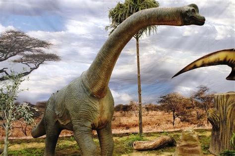 New species of dinosaur discovered   and it s one of the ...