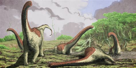 New Species Of Massive Dinosaur Discovered In Africa ...
