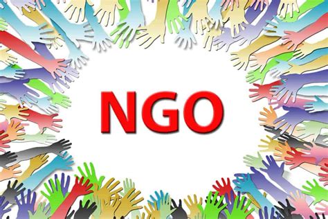 NGO Hindi में! NGO Meaning in Hindi नागरिक समाज में इसकी ...