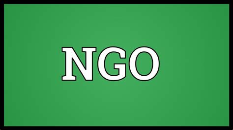 NGO Meaning   YouTube